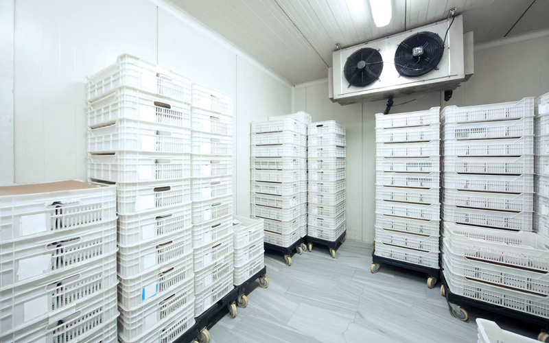 Efektywność zasobów i zarządzanie środowiskiem