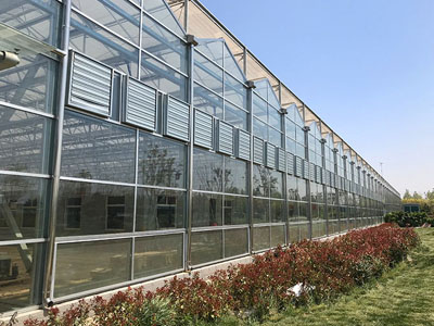 Nowa aktualizacja wentylatorów odśrodkowych SunxFan Double Inlet: Technologia konwersji częstotliwości EC pomaga szklarniom uprawnym bez gleby w celu uzyskania wydajnej wentylacji i kontroli temperatury