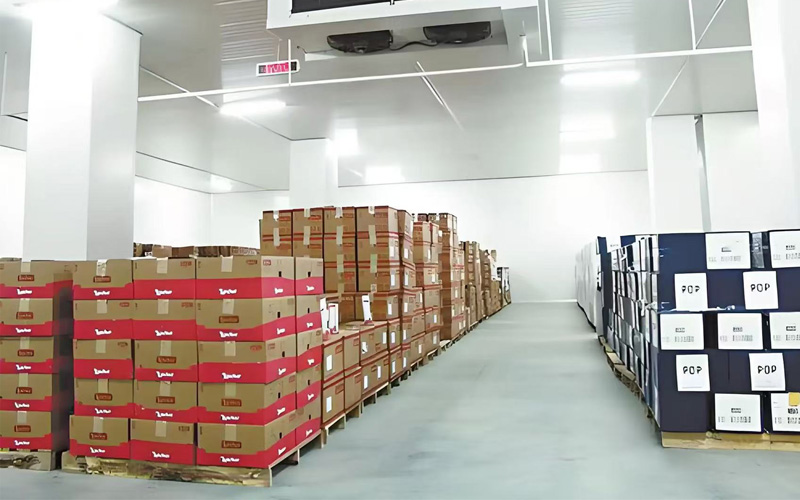 Żywotność ekonomiczna i transformacja rynku