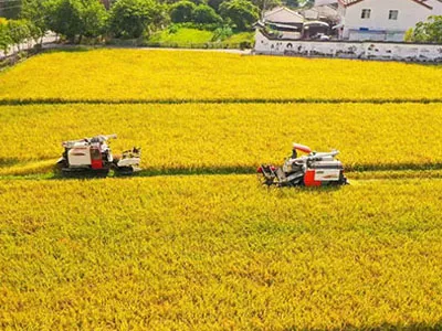 Od zbierania bawełny do zbioru, podwójne wentylatory odśrodkowe SunxFan EC o zmiennej częstotliwości