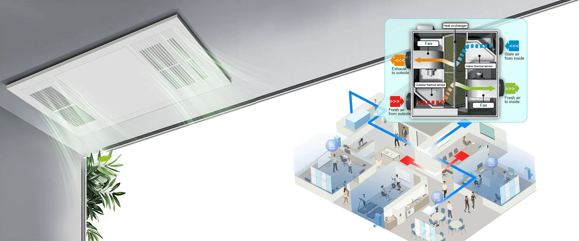 Algorytm Oddycha, Wiatr ewoluuje.